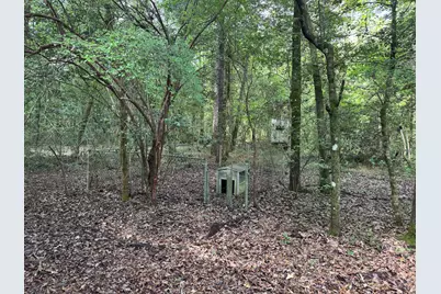 6102 Turkey Track Road, Crestview, FL 32539 - Photo 9