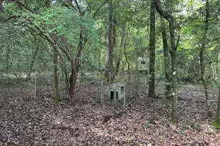 6102 Turkey Track Rd, Crestview, FL 32539 - Photo 9