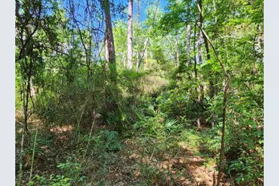 .34 Acres Co Highway 3280, Ponce de Leon, FL 32455 - Photo 15