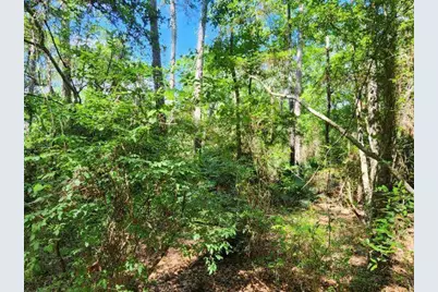 .34 Acres Co Highway 3280, Ponce de Leon, FL 32455 - Photo 11