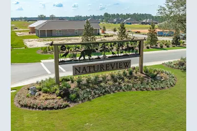 176 Natureview Way, Freeport, FL 32439 - Photo 19