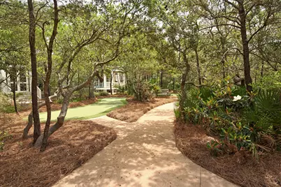 103 Coopersmith Lane, Inlet Beach, FL 32461 - Photo 39