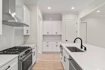 230 Green Heron Street #Lot 33, Watersound, FL 32461 - Photo 17