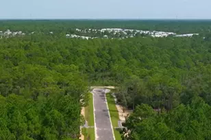 Lot #2 Elm St, Santa Rosa Beach, FL 32459 - Photo 1