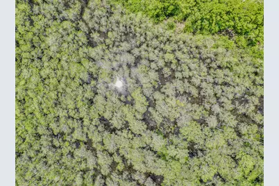 47 Cypress Walk, Santa Rosa Beach, FL 32459 - Photo 45