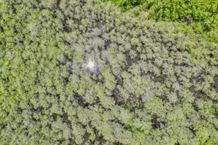 47 Cypress Walk, Santa Rosa Beach, FL 32459 - Photo 45