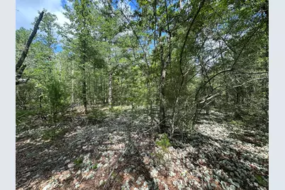 20 Ac+/- Shot Gun Trail, Crestview, FL 32539 - Photo 7