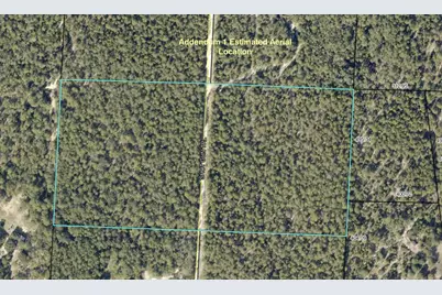 20 Ac+/- Shot Gun Trail, Crestview, FL 32539 - Photo 3