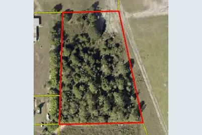 2.49 Acres W Co Hwy 147, Paxton, FL 32538 - Photo 3