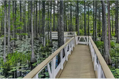 129 Cypress Drive, Santa Rosa Beach, FL 32459 - Photo 35