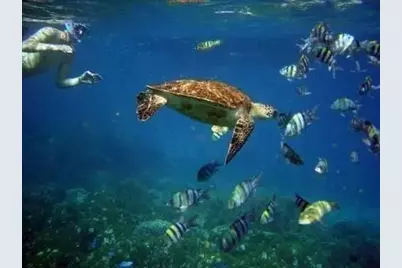 104 Kara Lake Drive, Santa Rosa Beach, FL 32459 - Photo 25