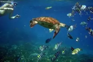 104 Kara Lake Dr, Santa Rosa Beach, FL 32459 - Photo 25