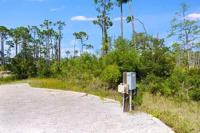 4330 State Road 30A Road, Port Saint Joe, FL 32456 - Photo 9