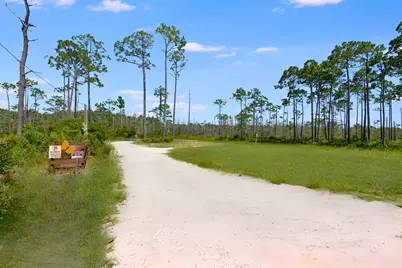 4330 State Road 30A Road, Port Saint Joe, FL 32456 - Photo 13