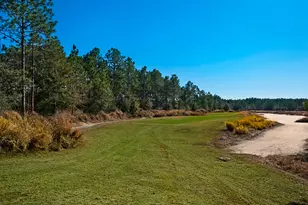 155 E Club House Dr E, Freeport, FL 32439 - Photo 29