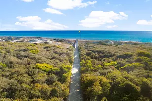 28 W Queen Palm Dr W, Inlet Beach, FL 32461 - Photo 65