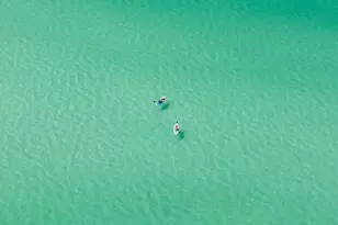 89 Sand Dollar Ct, Santa Rosa Beach, FL 32459 - Photo 81