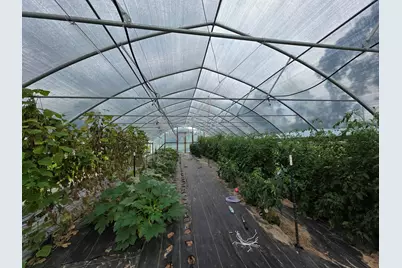 6249 Highway 4, Baker, FL 32531 - Photo 5