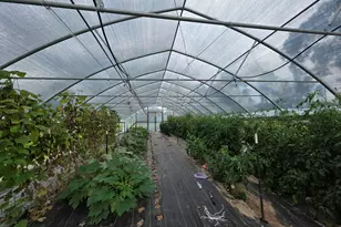 6249 Hwy 4, Baker, FL 32531 - Photo 5