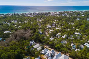 115 N Barcelona Ave N, Santa Rosa Beach, FL 32459 - Photo 31