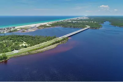 32 Asher Street #Lot 36, Inlet Beach, FL 32461 - Photo 41