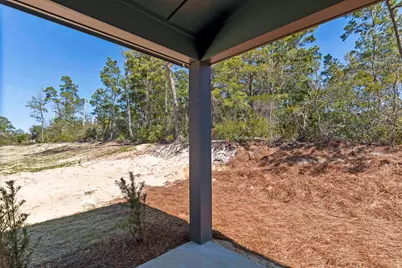 Tbd Asher Street #Lot 44, Inlet Beach, FL 32461 - Photo 29