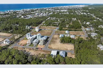 Tbd Asher Street #Lot 44, Inlet Beach, FL 32461 - Photo 49