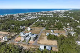 Tbd Asher St, Inlet Beach, FL 32461 - Photo 49