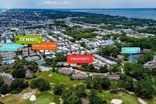 316 N Driftwood Bay N, Miramar Beach, FL 32550 - Photo 47