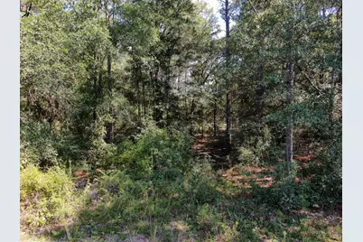 Lot 20 Magnolia Lake Drive, Defuniak Springs, FL 32433 - Photo 15