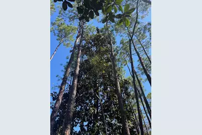 Tbd W Hewett Road W, Santa Rosa Beach, FL 32459 - Photo 11