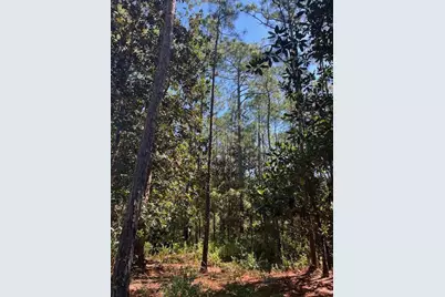 Tbd W Hewett Road W, Santa Rosa Beach, FL 32459 - Photo 7