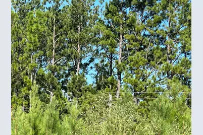Parcel D Millside Road, Laurel Hill, FL 32567 - Photo 5