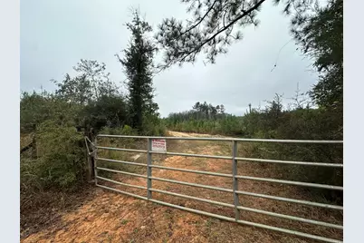 Parcel D Millside Road, Laurel Hill, FL 32567 - Photo 1