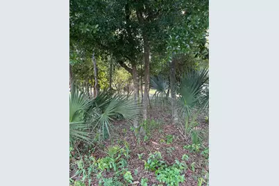 317 Main Street, Destin, FL 32541 - Photo 3