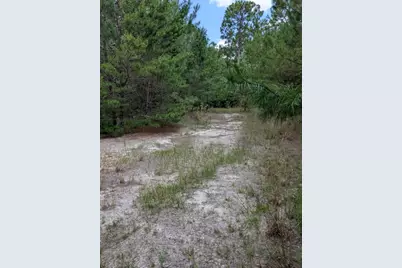 Tbd Chief Bragg Drive, Freeport, FL 32439 - Photo 1