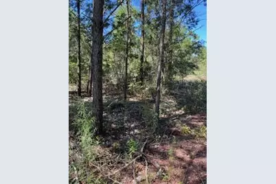 45-48 W Buckeye Street W, Mossy Head, FL 32434 - Photo 1