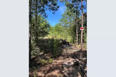 45-48 W Buckeye Street W, Mossy Head, FL 32434 - Photo 3