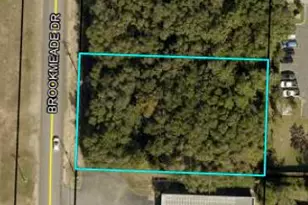 62 Acre Brookemade Dr, Crestview, FL 32539 - Photo 1
