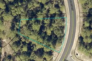 6710 Sarah Ann Way, Laurel Hill, FL 32567 - Photo 1