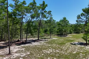 244 Coastal Breeze Dr, Freeport, FL 32439 - Photo 51