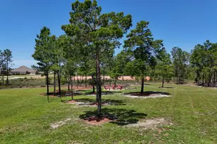 244 Coastal Breeze Dr, Freeport, FL 32439 - Photo 55