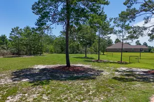 244 Coastal Breeze Dr, Freeport, FL 32439 - Photo 53