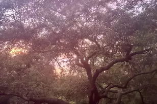 696 Phillips Dr, Freeport, FL 32439 - Photo 49