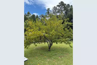 175 Bob McCaskill Drive, Defuniak Springs, FL 32433 - Photo 19