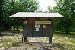 817 N Planters Dr N, Laurel Hill, FL 32567 - Photo 43