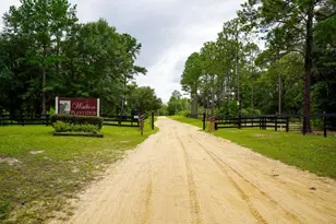 817 N Planters Dr N, Laurel Hill, FL 32567 - Photo 47