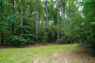 817 N Planters Dr N, Laurel Hill, FL 32567 - Photo 15