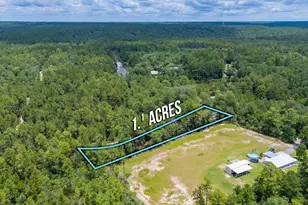 330 Dove Run Rd, Holt, FL 32564 - Photo 25