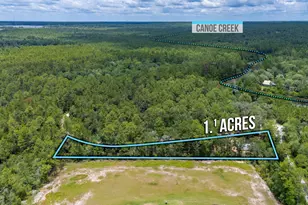 330 Dove Run Rd, Holt, FL 32564 - Photo 21